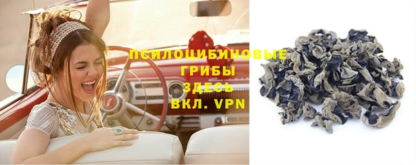 гашишное масло Новодвинск