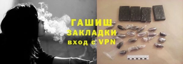 индика Вязьма