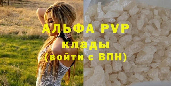 индика Вязьма