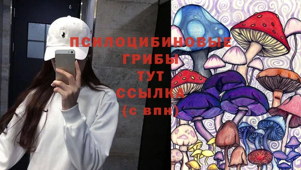 индика Вязьма