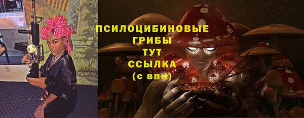 соль курить ск Новозыбков