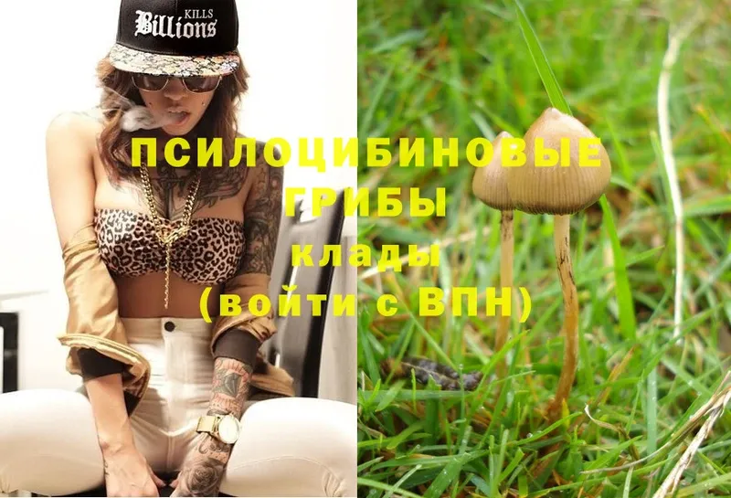 Галлюциногенные грибы MAGIC MUSHROOMS  Усолье-Сибирское 