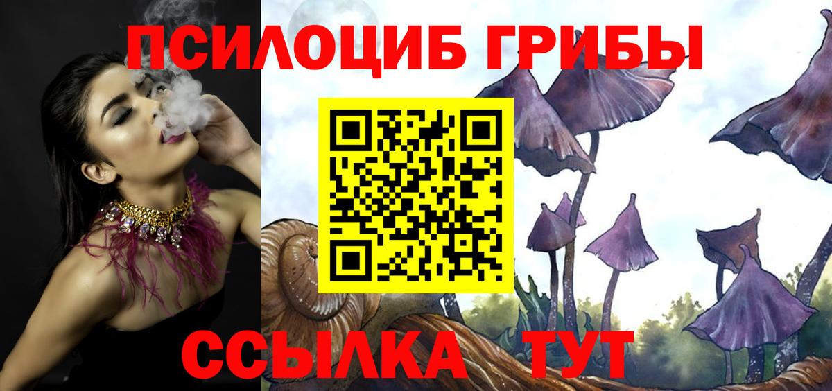Усолье-Сибирское  наркошоп  Вход с VPN  Псилоцибиновые грибы Psilocybe 